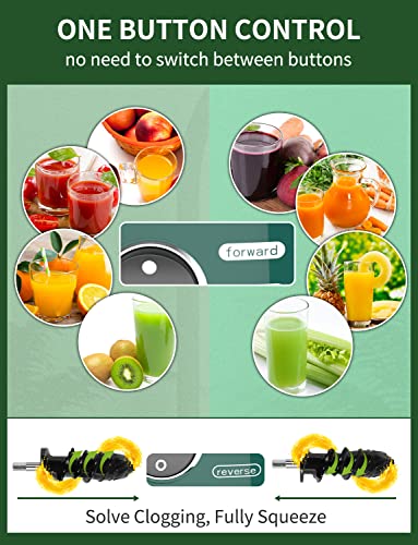 Vegetable Juicers for Celery Wheatgrass Ginger Beets, Fruit Juicer Machines Slow Masticating Juicer Cold Press Juice Extractor Pulp Separated, Quiet Motor, BPA Free, Dishwasher Safe, Easy To Clean