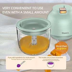 Gbasics Electric Garlic Chopper, 300ML Portable Cordless Mini Food Processor, Rechargeable Vegetable Chopper Blender for Onion Garlic Pepper Vegetable Meat Mincer/Grinder/Puree Food (Green)