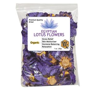 premium exotic whole flower – natural whole flower herbal tea 1.0oz(28g) – caffeine free, non-gmo
