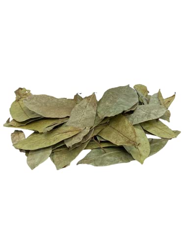 Yerbero - Hoja De Guanabana Entera ( .75 oz - 22gr ) Whole Dried Graviola Soursop Guanabana Leaves, Organic Whole Leaf ,100% All Natural Delicious| 20+ Servings | From Mexico | Premium Wildcrafted Quality.