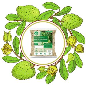 Yerbero - Hoja De Guanabana Entera ( .75 oz - 22gr ) Whole Dried Graviola Soursop Guanabana Leaves, Organic Whole Leaf ,100% All Natural Delicious| 20+ Servings | From Mexico | Premium Wildcrafted Quality.