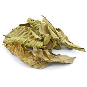 Yerbero - Whole Guava Leaf 2oz (56gr) Herbal Tea (Te Hojas De Guayaba) Skin Care | Hair Re-Growth | Crafted By Nature100% All Natural Fresh Tea Tea | Non-GMO | Gluten-free.