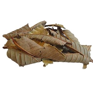 Yerbero - Whole Guava Leaf 2oz (56gr) Herbal Tea (Te Hojas De Guayaba) Skin Care | Hair Re-Growth | Crafted By Nature100% All Natural Fresh Tea Tea | Non-GMO | Gluten-free.