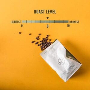 Verve Coffee Roasters Whole Bean Coffee Streetlevel Blend | Medium Roast, Brewed or Espresso, Direct Trade, Resealable Pouch | Enjoy Hot or Cold Brew | 12oz Bag