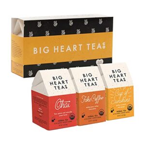 big heart tea co. spicy tea bags gift set – certified organic, ayurvedic herbal tea – small batch ground herbs, spices in zero plastic sachets – healthy tea variety box – 3 flavors, 30 pack