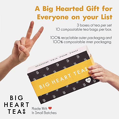 Big Heart Tea Co. Spicy Tea Bags Gift Set - Certified Organic, Ayurvedic Herbal Tea - Small Batch Ground Herbs, Spices in Zero Plastic Sachets - Healthy Tea Variety Box - 3 Flavors, 30 Pack