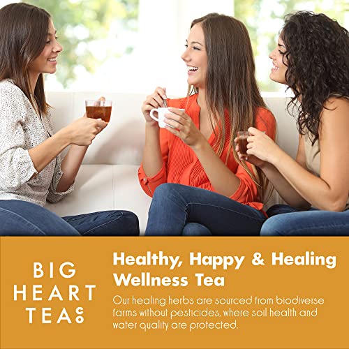 Big Heart Tea Co. Spicy Tea Bags Gift Set - Certified Organic, Ayurvedic Herbal Tea - Small Batch Ground Herbs, Spices in Zero Plastic Sachets - Healthy Tea Variety Box - 3 Flavors, 30 Pack