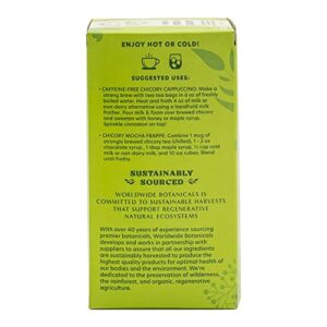 Worldwide Botanicals Organic French Chicory Root Tea – 50% more herbs with 3g per tea bag – Prebiotic Roasted Herbal Tea – Acid Free, Caffeine Free, Kosher, 25 tea bags