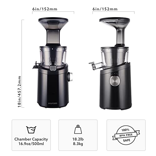 Hurom H101 Easy Clean Masticating Slow Juicer - Matte Silver