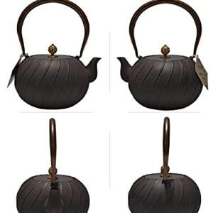 Work Hall Iron Pot Cast Iron Pot Uncoating in Southern Japan Pig Iron Pot Teapot Tea Set-see chart