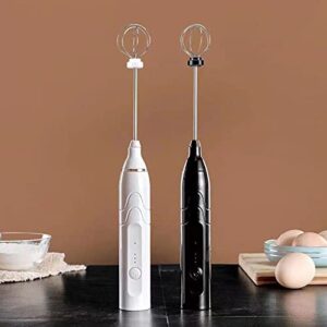 Handheld Milk Beater, Portable ABS and 304 Stainless Steel Electric Milk Frother Double Mixing Head for Egg (Black)