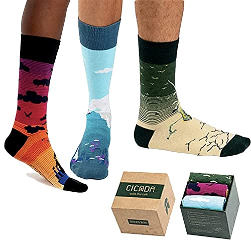 Cicada Dress Socks – 3-Pair Organic Cotton Socks for Men and Women