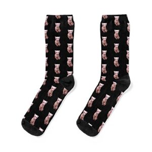 bingus cat unisex crew socks gifts for men women, multicolor, 10-13