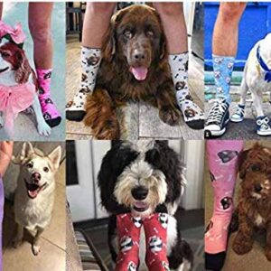 D-Story Custom Photo Pet Face Socks, Love Heart Crew Socks with 2 Faces for Men Women (Made In USA)