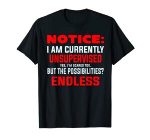notice: currently unsupervised – funny adult kid humor t-shirt