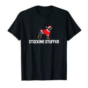 Christmas Rottweiler T-Shirt_ Stocking Stuffer Holiday Gift T-Shirt