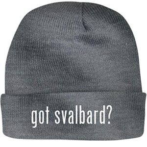 shirt me up got svalbard? – a nice beanie cap, grey, osfa