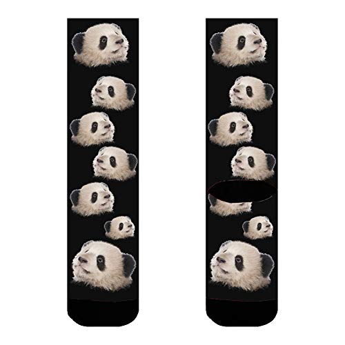 Kervaky Custom Socks with Face Dog Socks, Your Photo on Personalized Socks with Picture for Men Women