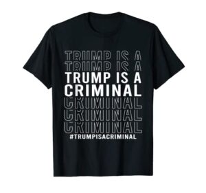 trump is a criminal – trump for prison men women vintage t-shirt