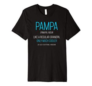 mens pampa gift: like a regular grandpa definition cooler premium t-shirt