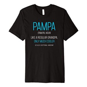 Mens Pampa Gift: Like A Regular Grandpa Definition Cooler Premium T-Shirt