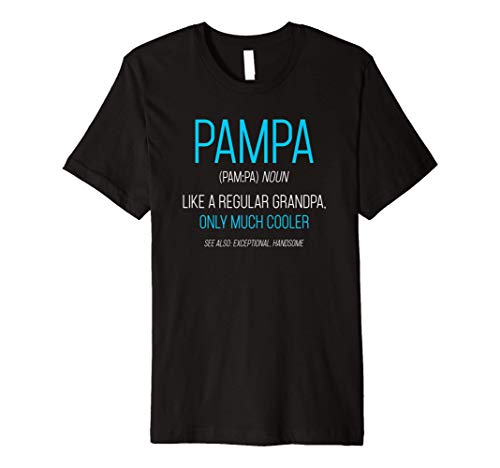 Mens Pampa Gift: Like A Regular Grandpa Definition Cooler Premium T-Shirt