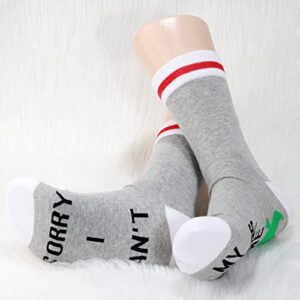 POFULL Novelty Gamer Gift Sorry I Can't My Villagers Need Me Video Game Lover Gift Funny Gaming Socks (My Villagers Need Me socks)