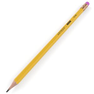 ARTEZA HB Pencils #2, Pack of 48, Wood-Cased Graphite Pencils in Bulk, Pre-Sharpened, with Latex-Free Erasers, Office & School Supplies for Exams and Classrooms