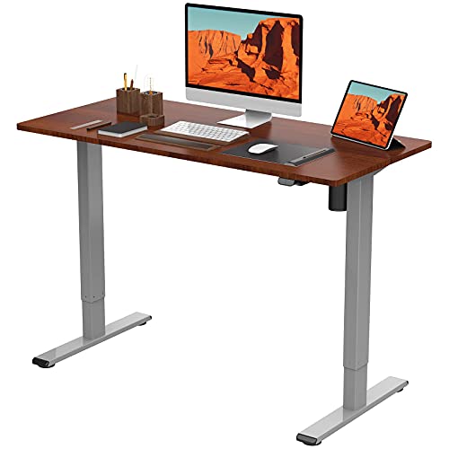 FLEXISPOT Standing Desk 48 x 24 Inches Electric Adjustable Desk Sit Stand Desk Home Office Desks with Splice Board (Silver Frame + Mahogany Top)