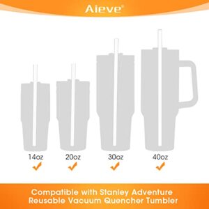 AIEVE 6 Pack Straw Replacement 40 oz Compatible with Stanley 40 oz Tumbler Stanley Cup Stanley Adventure Tumbler