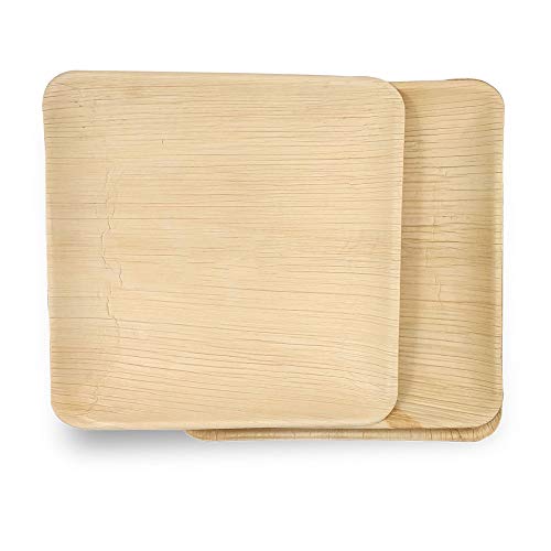 Dtocs Palm Leaf Plates 10 Inch Square 50 Pack Dinner Plate | Disposable Bamboo Plate Like Compostable Plates, Charcuterie Board, Cheese Platter | Wedding Plate Set Better Than Paper Plates