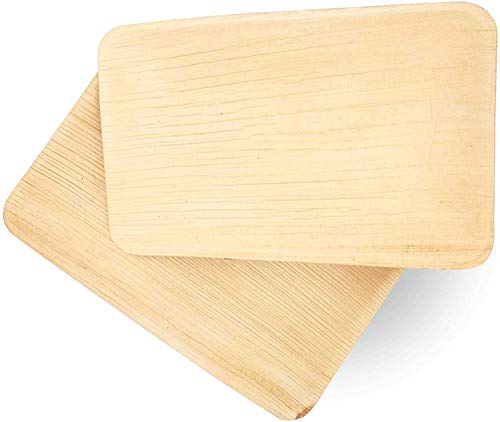 Dtocs Palm Leaf Plates 6x9 Inch Rectangle Tray (Pack 50) | Bamboo Plate Like Biodegradable Compostable Plate, Disposable Charcuterie Board, Mini Cheese Board | Sturdy Than Heavy Duty Paper Plates