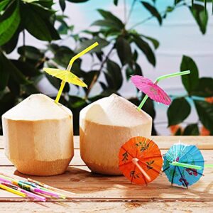 100PCs Creative Disposable Straws - Disposable Milk Tea Drink Plastic Straws, Bendable-Plastic Color Straws For Hawaii Beaches Party