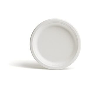 250 pcs of compostable paper plates 9 white pk56338