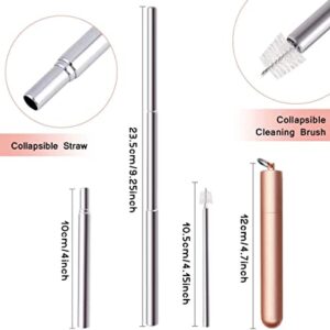 Buleila TELESCOPIC STRAW (BLUE CASE COLORFUL STRAW,PINK CASE SILVER STRAW,GOLD CASE ROSE GOLD STRAW,GREY CASE SILVER SREAW, 4)