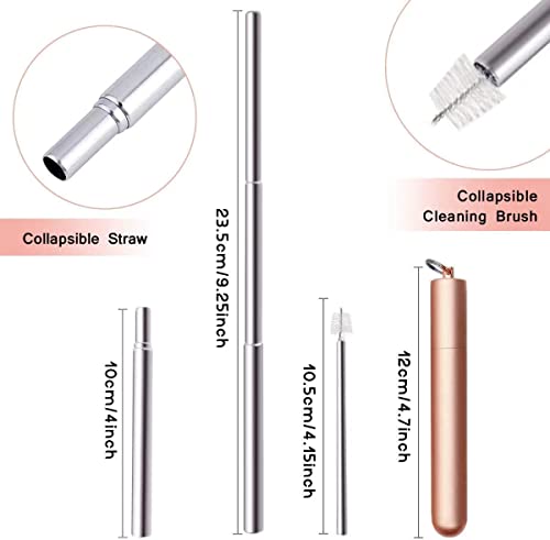 Buleila TELESCOPIC STRAW (BLUE CASE COLORFUL STRAW,PINK CASE SILVER STRAW,GOLD CASE ROSE GOLD STRAW,GREY CASE SILVER SREAW, 4)