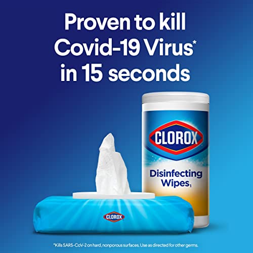 Clorox Disinfecting Wipes, Bleach Free Cleaning Wipes, 75 Wipes, Pack of 3, Fresh Scent (Package May Vary)