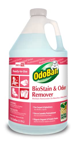 OdoBan Professional Series Cleaning 3-in-1 Carpet Cleaner Concentrate, 1 Gallon & Professional Cleaning Ready-to-Use BioStain and Odor Remover, 1 Gallon