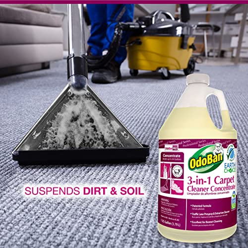 OdoBan Professional Series Cleaning 3-in-1 Carpet Cleaner Concentrate, 1 Gallon & Professional Cleaning Ready-to-Use BioStain and Odor Remover, 1 Gallon