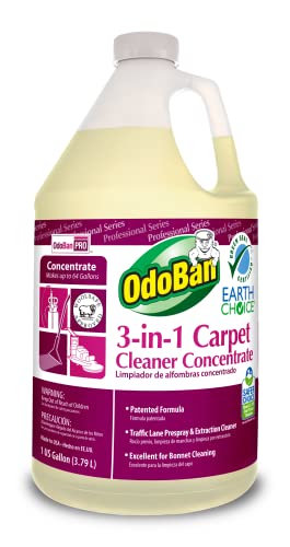 OdoBan Professional Series Cleaning 3-in-1 Carpet Cleaner Concentrate, 1 Gallon & Professional Cleaning Ready-to-Use BioStain and Odor Remover, 1 Gallon