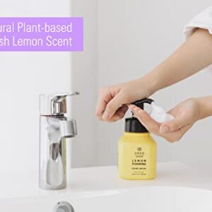 OBED Natural Foaming Hand Soap, Lemon Liquid Hand Soap Pump Bottle, Hydrating and Moisturizing Hand Wash, 65% Lemon Extract and Odor Eliminator, 10.15 fl oz 2 set