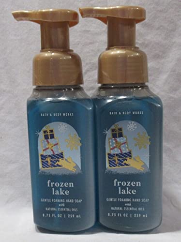 Bath Body 2 Pack bundle Frozen Lake Gentle Foaming Hand Soap 8.75 Ounce bundle