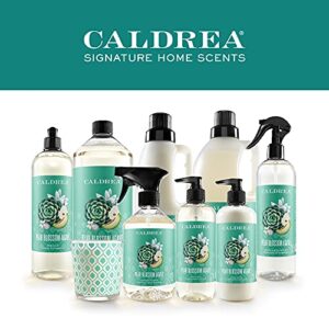 Caldrea Hand Wash Soap, Aloe Vera Gel, Olive Oil And Essential Oils To Cleanse And Condition, Pear Blossom Agave Scent, 10.8 Oz (Pack of 2)