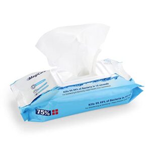 MagiCare Hand Sanitizer Wipes (4-80ct Packs) - Disposable 75% Alcohol Wipes - Unscented Sanitizing Wipes for Home, Travel, Classroom, Camping, etc - Four, 80ct Hand Wipes Soft Packs (320pcs)