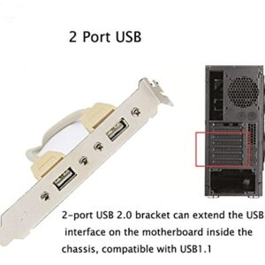 SinLoon （2-Pack Computer Cables & Connectors New 2 Port USB 2.0 Motherboard Rear Panel Expansion Bracket to IDC 9 Pin Motherboard USB Cable Host Adapter