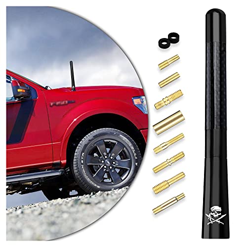 Antenna for Truck,Carbon Fiber Polished Finish Car Radio Antenna 4.72 Inch Antenna Toppers AM/FM Radio,Compatible for Car and Truck Vehicle Replacement Antenna Accessories (Double Blade Skull)