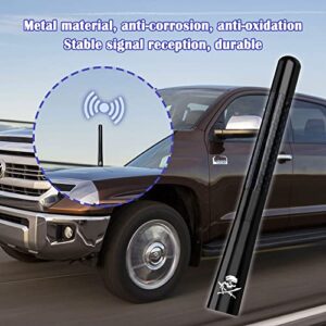 Antenna for Truck,Carbon Fiber Polished Finish Car Radio Antenna 4.72 Inch Antenna Toppers AM/FM Radio,Compatible for Car and Truck Vehicle Replacement Antenna Accessories (Double Blade Skull)