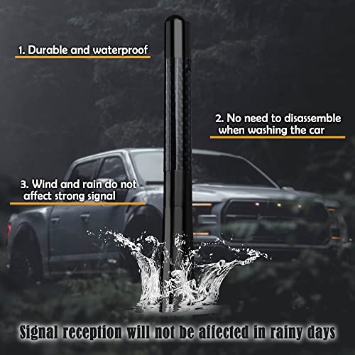 Antenna for Truck,Carbon Fiber Polished Finish Car Radio Antenna 4.72 Inch Antenna Toppers AM/FM Radio,Compatible for Car and Truck Vehicle Replacement Antenna Accessories (Double Blade Skull)