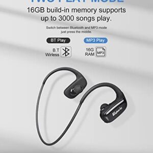 Sports Wireless Headphones, IPX7 Waterproof 16GB MP3 Player with Bluetooth, Running Earphone 10Hrs Playtime, Wireless Bluetooth 5.0 Headset with Noise Cancelling Mic(Black)