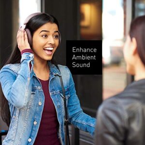 Panasonic Noise Cancelling Headphones with Wireless Bluetooth, Alexa Voice Control & Other Assistants - RP-HD605N-T - Over The Ear Headphone (Brown)